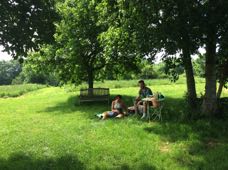 Our picnic spot under the trees at the top of the vineyard